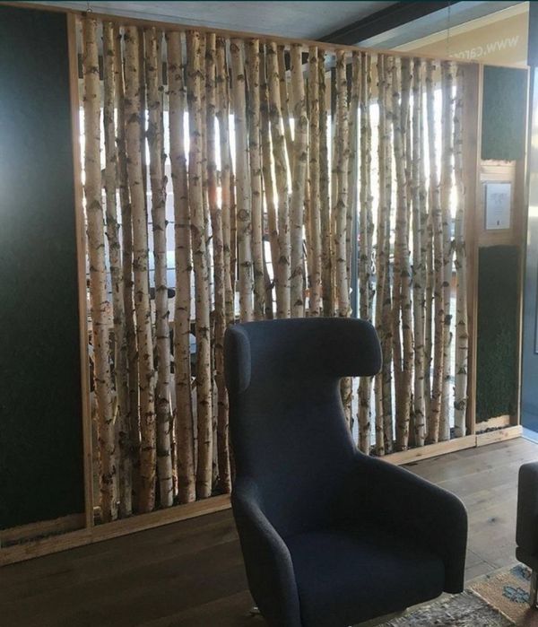 Rondele si trunchiuri din lemn de mesteacan sau diferite estente