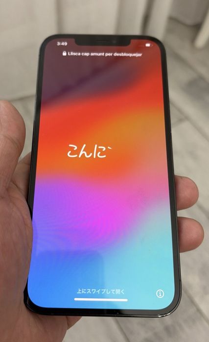 iPhone 12 Pro Max. 256 Gb