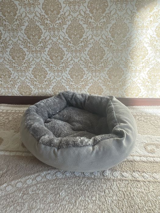 Лежак и лоток для кошки