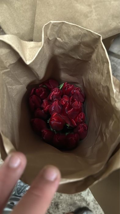 Премиальные тюльпаны 60-65см с оформлением