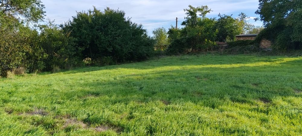 Парцел в регулация.