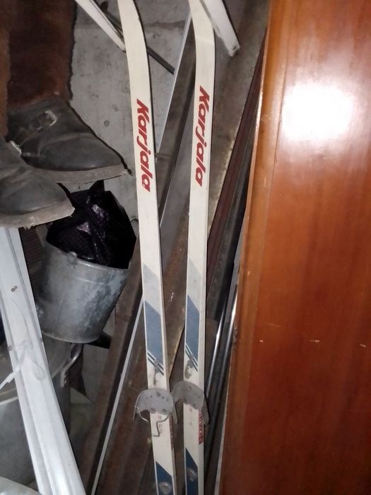 .вилы.лыжи палки