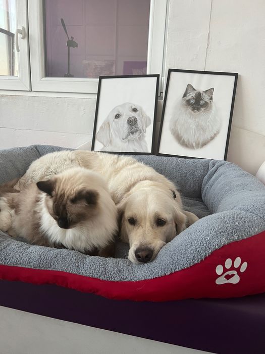 Легло за голямо куче с лапичка ХХЛ червен