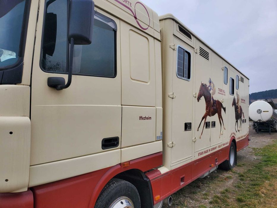 DAF AF95XF  transport cai