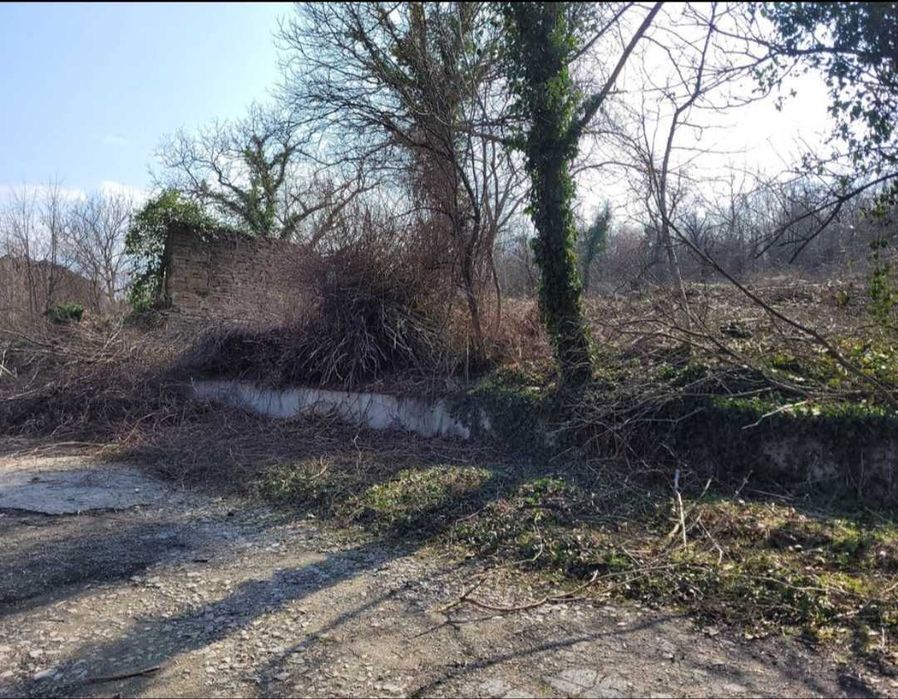 Продава се Парцел в Дряново - 1700 кв.м за 7 €/кв.м - Снимка #3