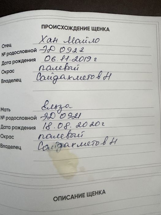 Продам собаку лабродор