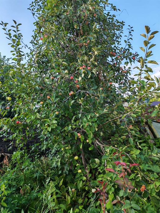 Продам двухкомнатную квартиру