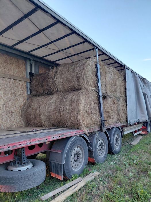Продаю сено в рулонах