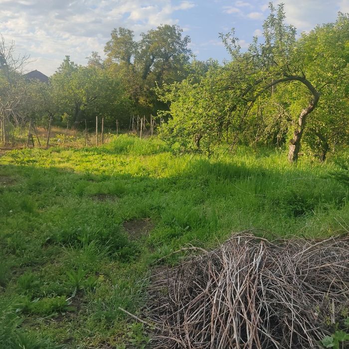 Парцел в с. Синаговци - 595 кв.м.