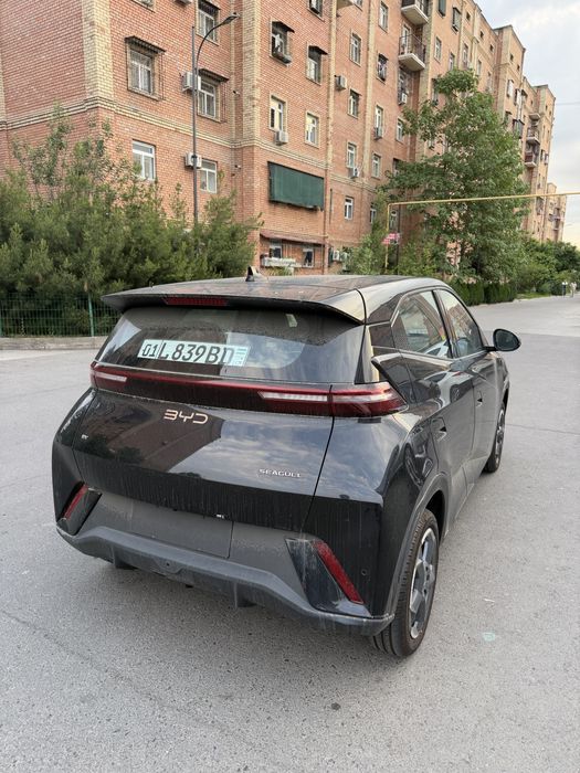 BYD Seagull 2025 — 3