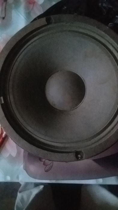 Динамики и колонки