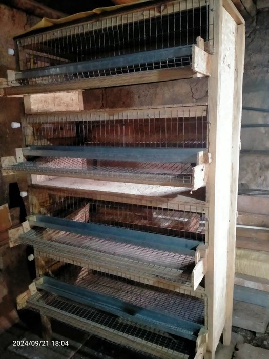 Клетка для перепелов