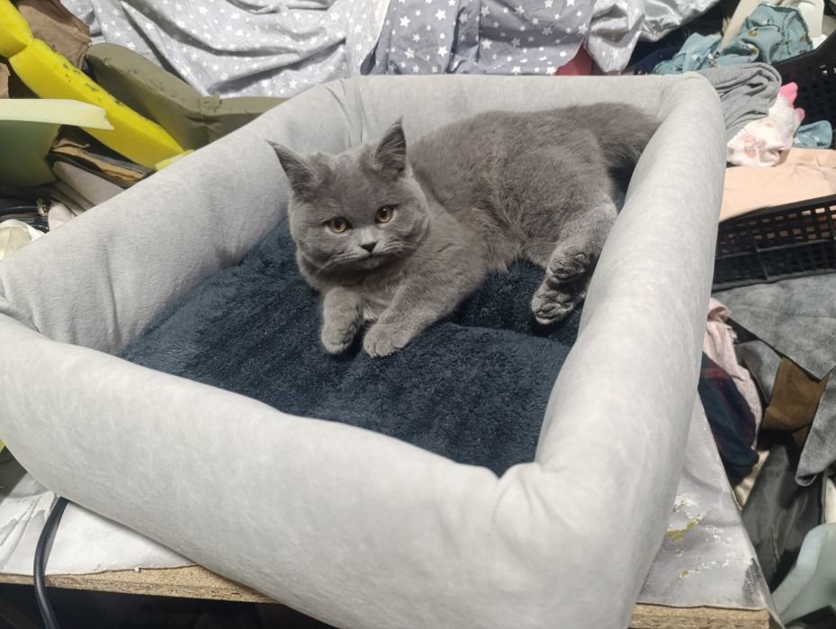 Лежанка когтеточка в наличии и под заказ