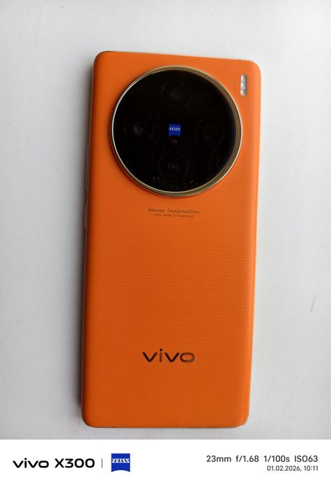 Vivo X 100. 16/512