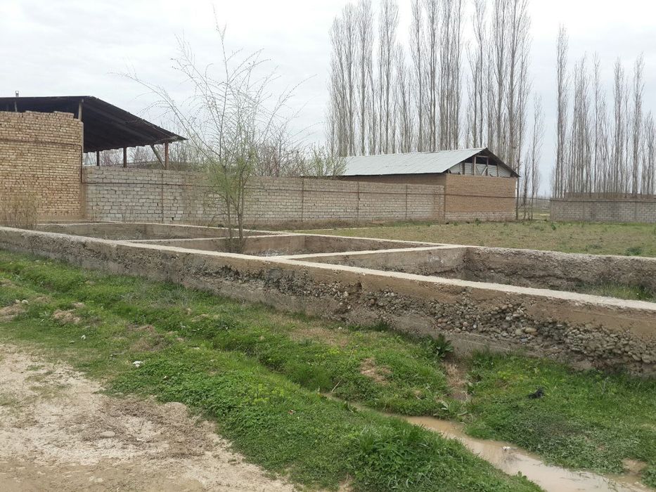 Тинч осойишта махалладан ер сотилади