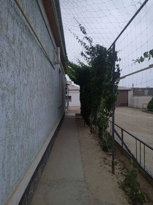 Ақтау қызыл-төбе  балауса көшесі