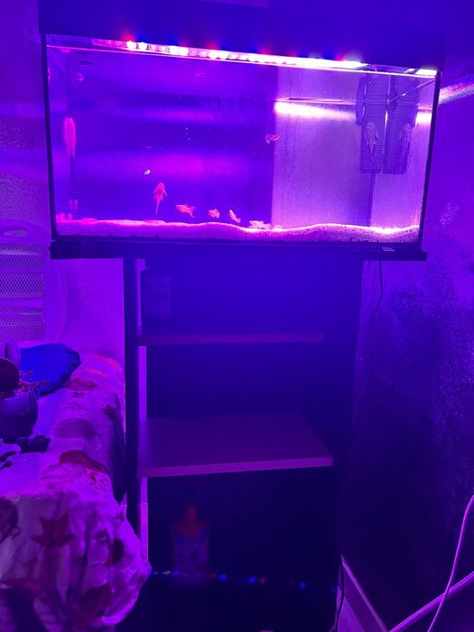 Schimb acavriu pentru filtru extern