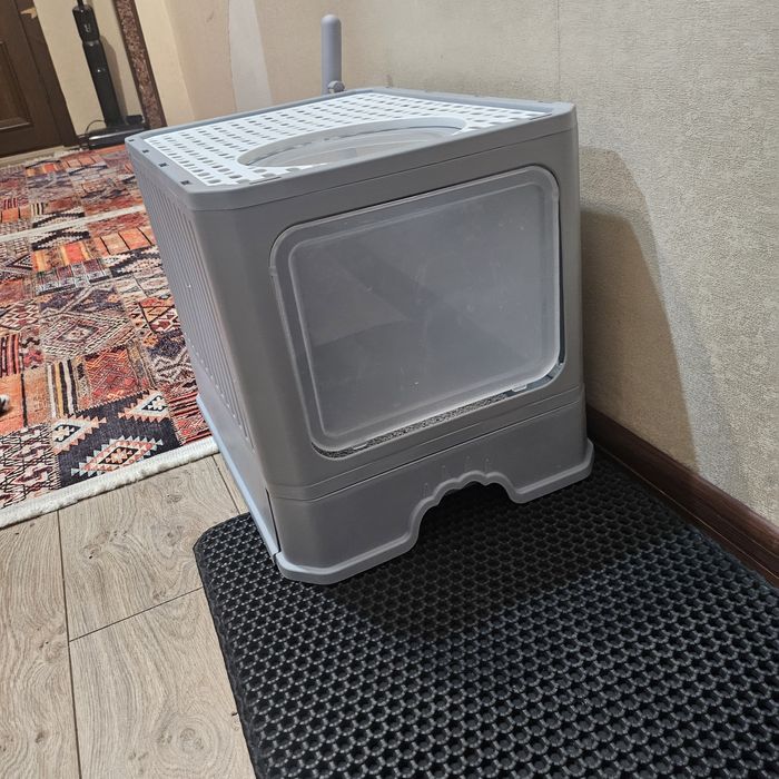 Отдам кота ( 4 года) в добрые руки