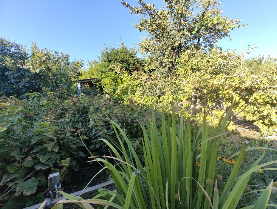 Продам Дачу "Сабалак"