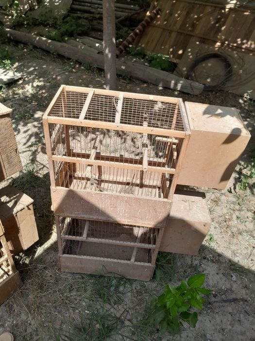 Qushlar uchun kletka inlar dublonkalar