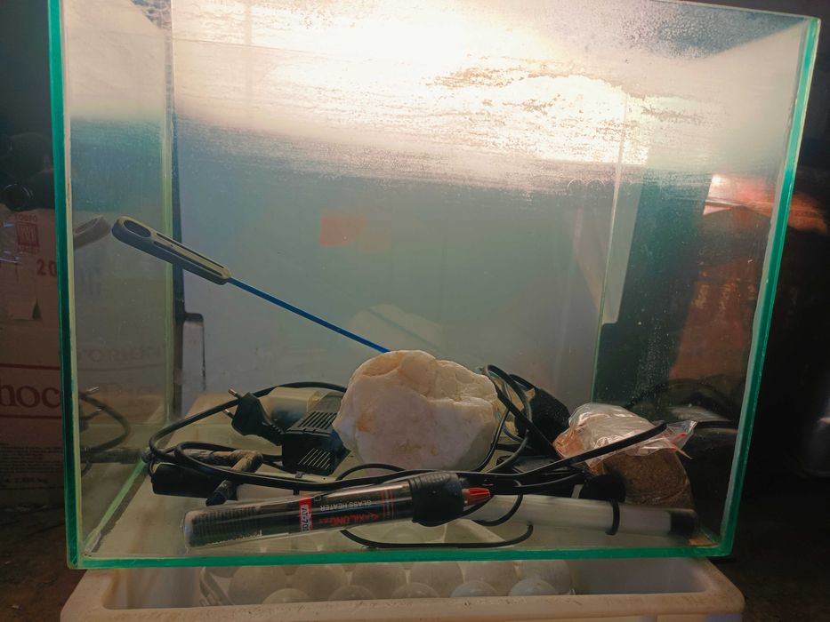 Аквариум на 20 литров