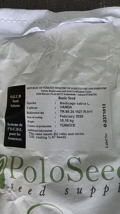 Семе люцерна. Люцерна семена