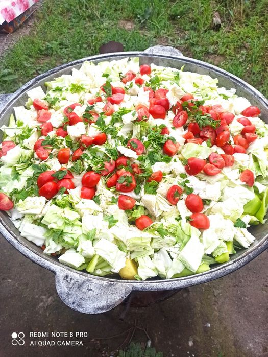 Палау дайиндаймын