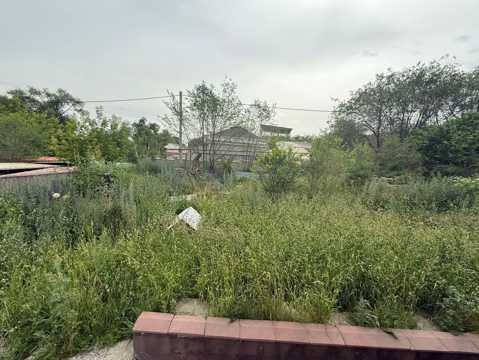 Косим траву Шоп шабамыз