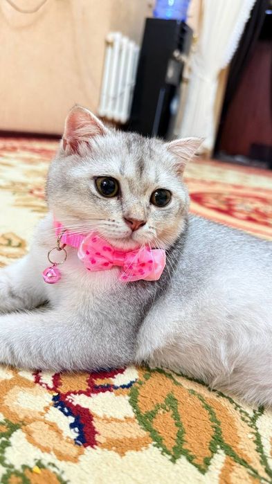 Серебристая девочка