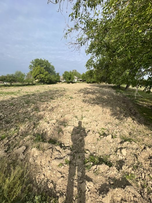 Yangiyo’lda uchastka sotiladi