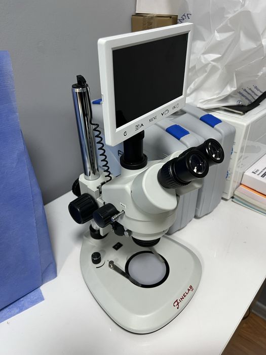 Zoom Stereo Microscope