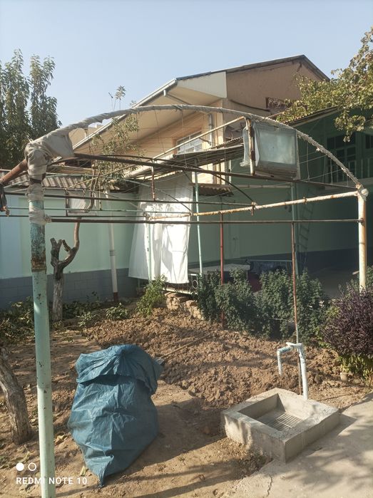 Tayyor teplitsa sotiladi