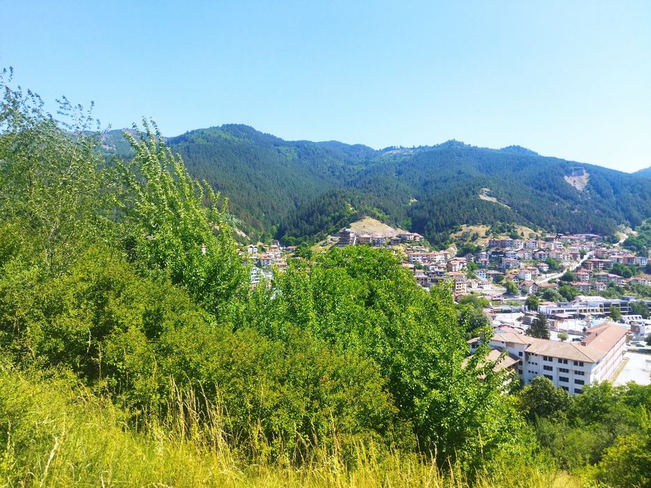 Продава се Парцел в Девин - 6627 кв.м за 61 €/кв.м - Снимка #6