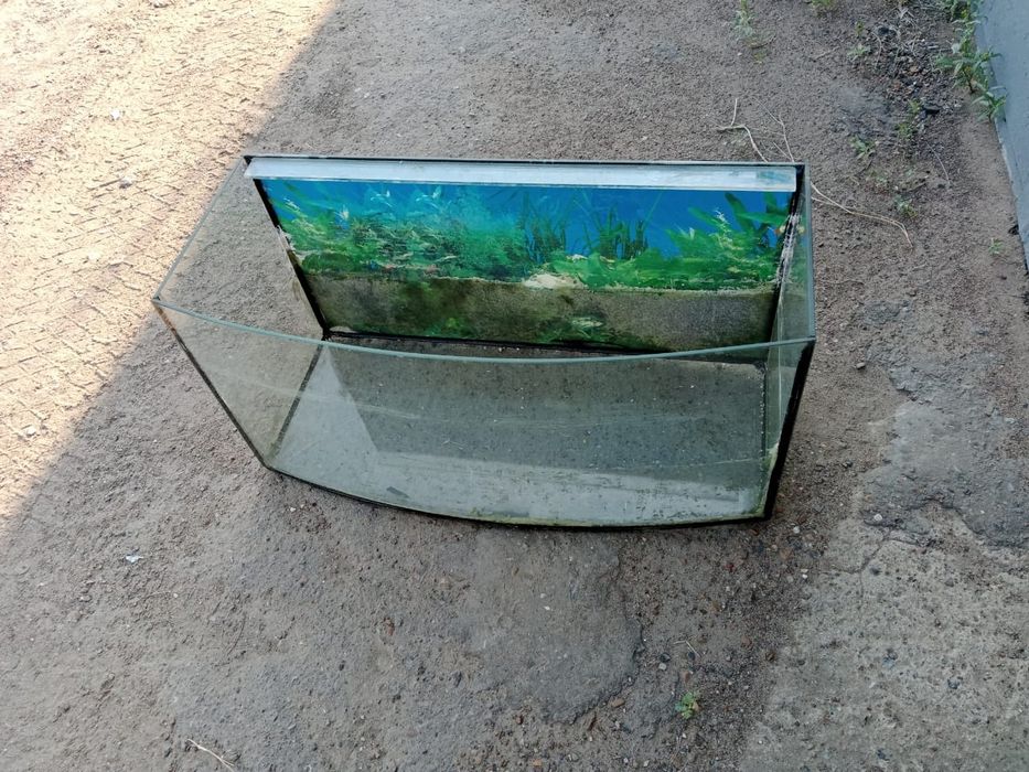 Аквариум для рыбок