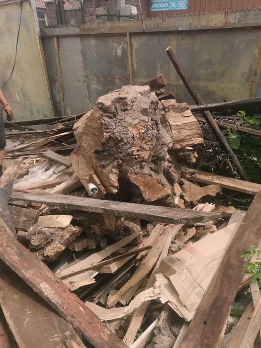 Дрова отдам бесплатно самовывоз