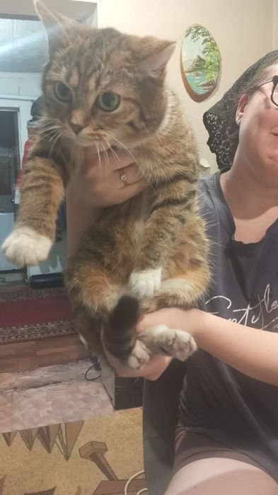 Отдам в хорошие руки