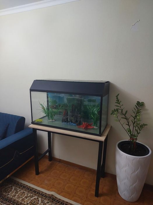 Аквариум 250л с тумбой