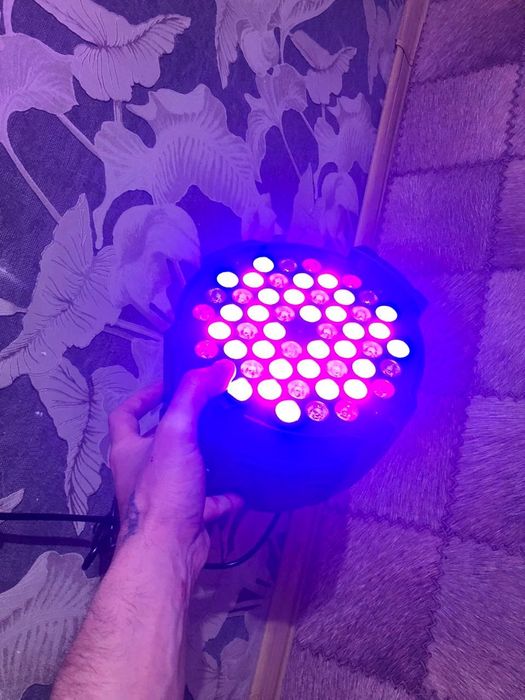 новые прожектора 10.000