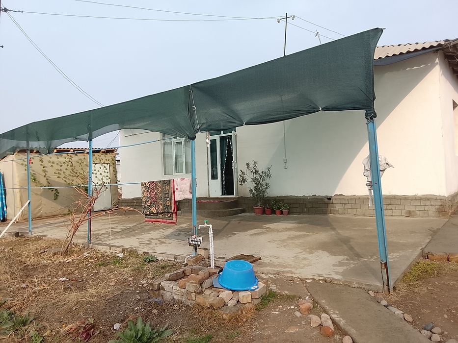 25 сотихли котта ховлимиза сотуга сикти