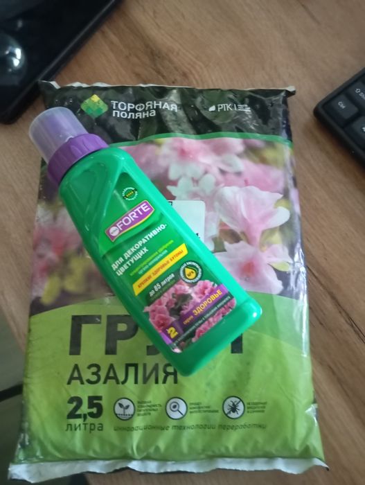 Уход за растением{florist}100%