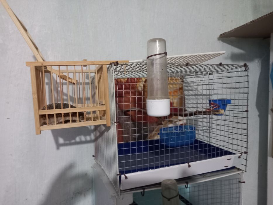 Клетки за птици оборудвани