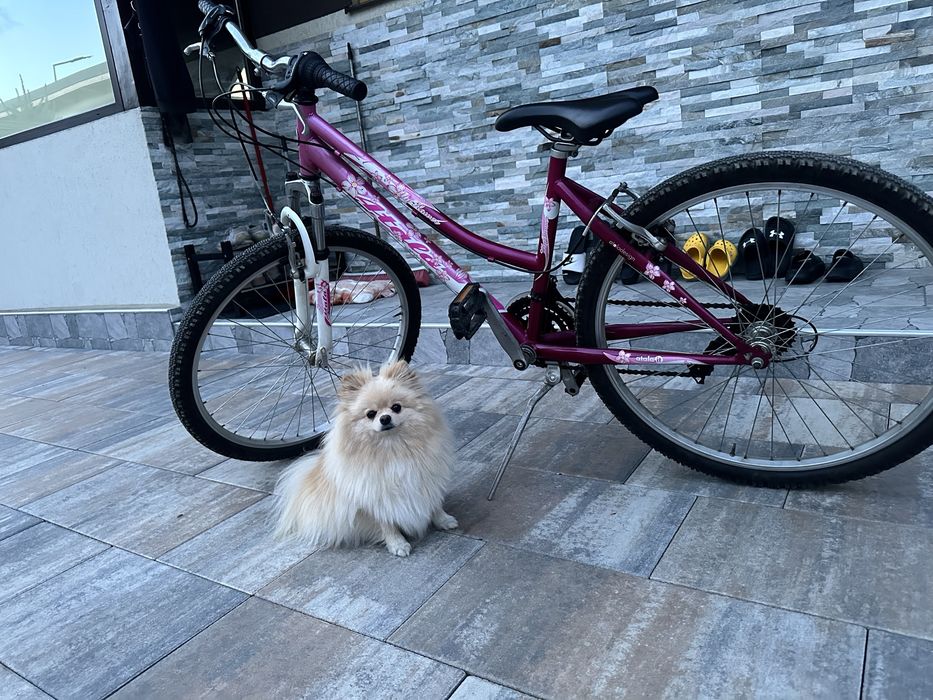 Bicicletă damă / adolescentă – stare foarte bună