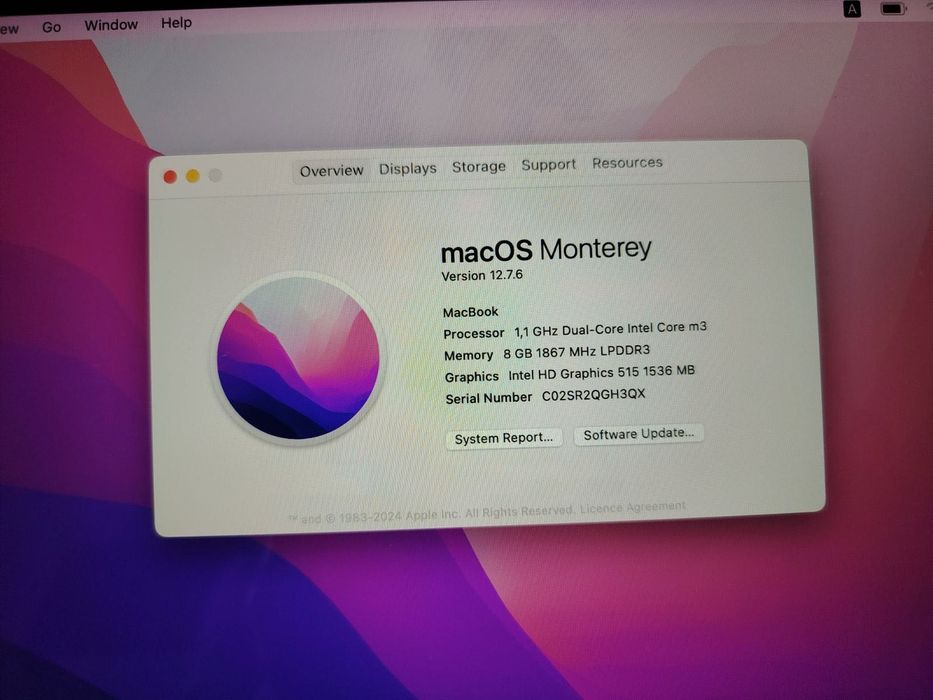 MacBook 9,1 256gb ssd 8gb ram m3 12” retina