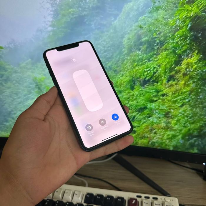 iPhone 11 Pro Max Srochni