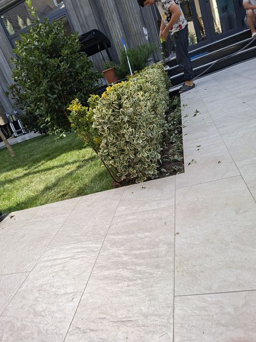 Xarxil turdagi manzarali ko‘chatlar