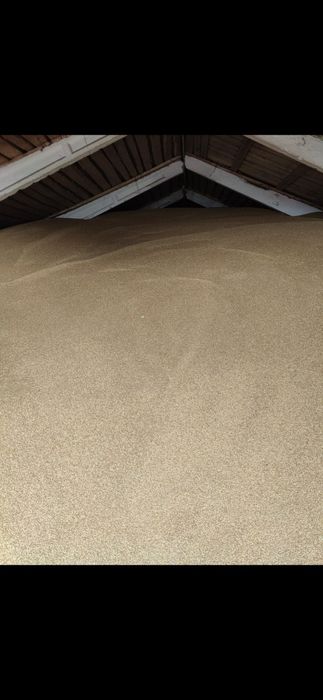 Ячмень 700 тонн.