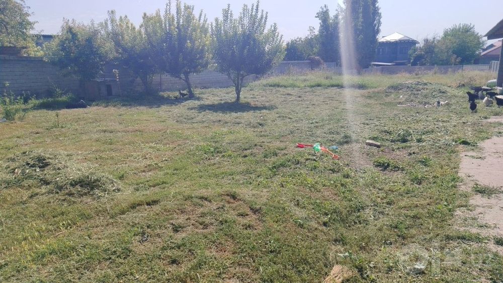 Срочно сотилади 5 сотих