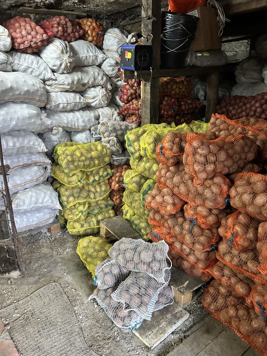 Cartofi fara chimicale