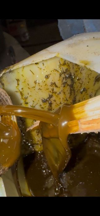 Масло льняное чистое