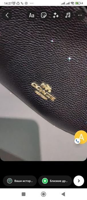 Сумка коуч за 5000